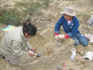 ExcavacionGlyptodonteB