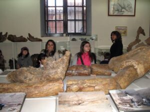 visitantes